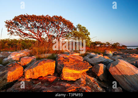 Felsigen Landspitze von roten Felsen bei Sonnenaufgang auf der Dampier Halbinsel, Western Australia Stockfoto