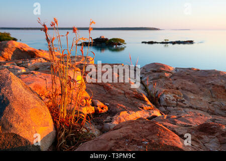 Felsigen Landspitze von roten Felsen bei Sonnenaufgang auf der Dampier Halbinsel, Western Australia Stockfoto