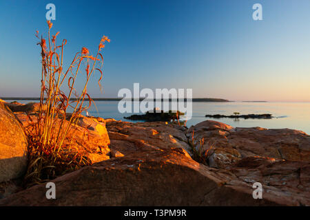 Felsigen Landspitze von roten Felsen bei Sonnenaufgang auf der Dampier Halbinsel, Western Australia Stockfoto