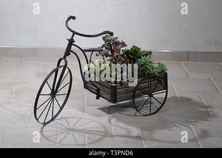 Landschaftsbau. Dekorative vintage Modell Faltrad, die mit einem Kästchen mit Blumen ausgestattet Stockfoto