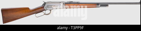 Die langen Arme, moderne Systeme, Hebel - Aktion wiederholen, Gewehr, Additional-Rights - Clearance-Info - Not-Available Stockfoto