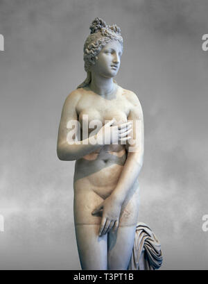 2. Jahrhundert AD römischen Marmorskulptur der Aphrodite (Venus), 'Dresden Kapitolinischen Typ, kopiert aus einem Hellanistic griechische Original, inv6238, Museum für EIN Stockfoto
