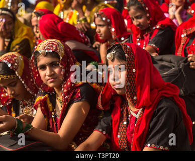 PUSHKAR, INDIEN - November 21, 2012: indische Mädchen in Pushkar. Fair Kamele in Pushkar Stockfoto