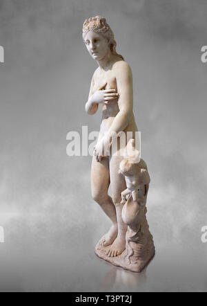 2. Jahrhundert AD römischen Marmorskulptur der Aphrodite (Venus), 'Dresden Kapitolinischen" Typ, kopiert aus einem Hellanistic griechische Original, inv6296, Museum der Stockfoto