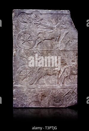 Stein Relief modellierte Panel von aa Assyrische Streitwagen. Aus dem Palast von Assurbanipal Zimmer VI/T1, Nimrud, dritten Quartal des 8. Jh. v. Chr..inv 199 Stockfoto