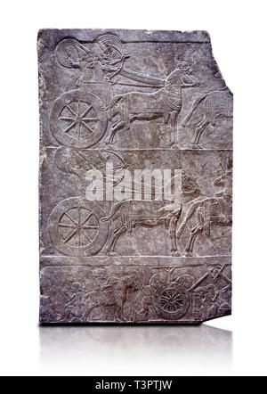 Stein Relief modellierte Panel von aa Assyrische Streitwagen. Aus dem Palast von Assurbanipal Zimmer VI/T1, Nimrud, dritten Quartal des 8. Jh. v. Chr..inv 199 Stockfoto