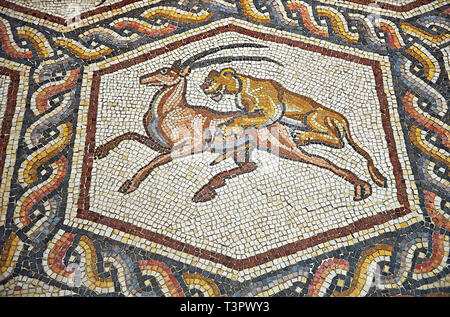 Ein Löwe Jagd aus dem 3. Jahrhundert römische Mosaik villa Stock aus Lod, in der Nähe von Tel Aviv, Israel. Die Römischen Boden Mosaik von Lod ist die größte und beste Pr Stockfoto