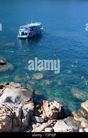 Schnorcheln in Hin Ngam Bay. Koh Tao. Thailand Stockfoto