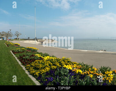 Aarbon, SG/Schweiz - April 7, 2019: Touristen und Einheimischen einen schönen Frühlingstag genießen am Bodensee in der Schweiz Stockfoto