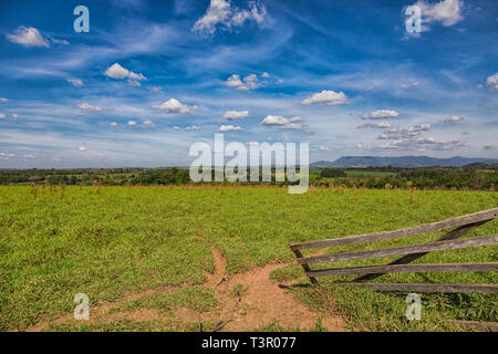 Weideland in Paraguay mit Blick auf das Ybytyruzu Gebirge. Stockfoto