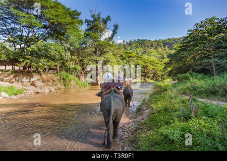 Chiang Mai, Thailand - November 21, 2015: Touristen in Chiang Mai Fahrt auf Elefanten durch einen Fluss. Stockfoto