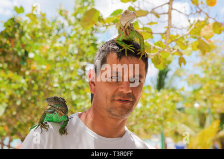 Mann mit Eidechsen auf Kopf und Schulter. Stockfoto