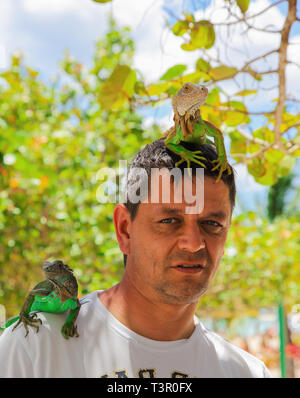 Mann mit Eidechsen auf Kopf und Schulter. Stockfoto