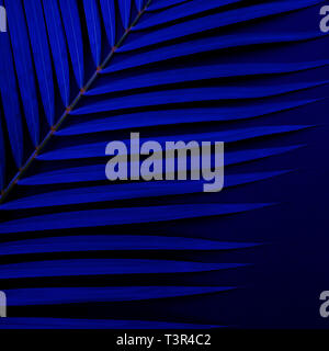 Von tropischen Palmen Blätter mit exotischen Farbe. Nach oben Schließen Stockfoto
