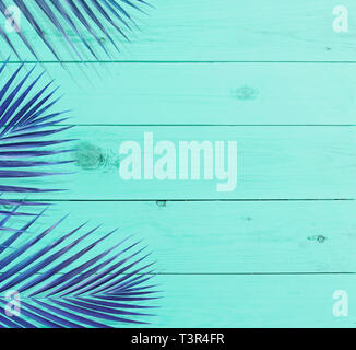 Tropische coconut Blätter mit blauer Farbe Holz Hintergrund. Sommer design Stockfoto