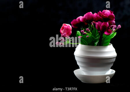 Einen schwarzen Blumen in Blumenkästen gepflanzt auf dem Boden Stockfoto