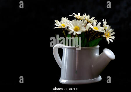 Einen schwarzen Blumen in Blumenkästen gepflanzt auf dem Boden Stockfoto