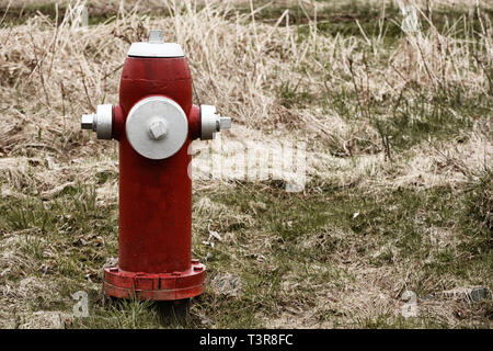 Red Fire Hydrant auf Gras mit kopieren. Stockfoto