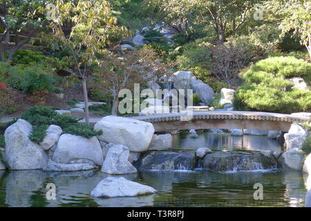 Kleine hölzerne Brücke im japanischen Freundschaft Garten von Balboa Park Stockfoto