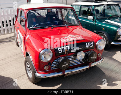 Die älteste erhaltene BMC funktioniert Mini Cooper auf der 2019 Silverstone Classic Media Day. Teil der 50-Jahr-Feier der Mini. Stockfoto