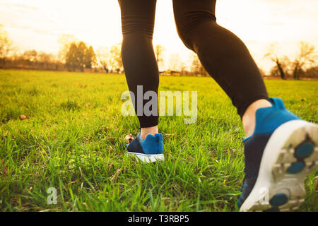 Runner Athlet Füße laufen auf Gras. Männliche fitness Sonnenlicht joggen Workout. Sport Athleten aktiven Lifestyle Konzept. Sportliche Paar Beine, die auf gr Stockfoto