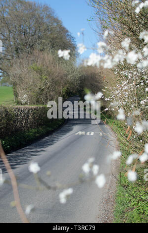 Sussex Frühjahr Spaziergang Uckfield und lokale Bereiche Stockfoto