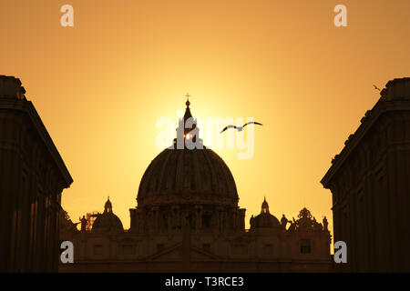 Silhouette der Petersdom im Vatikan, Rom, Italien, mit fliegenden Möwen im Sonnenuntergang Stockfoto