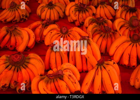 ' Anamur Banane' Es wächst in Mersin/Türkei. Banane Stack auf dem Markt verkauft. Obst Hintergrund Stockfoto