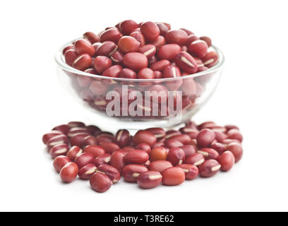Red adzuki Bohnen auf weißem Hintergrund. Stockfoto