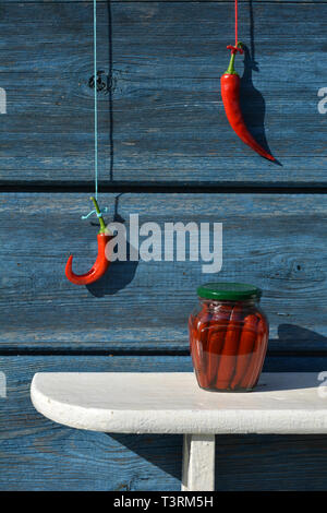 Konserviert in Dosen Glas Glas im Regal und Red Hot Chili Pepper Hand an der Wand Stockfoto