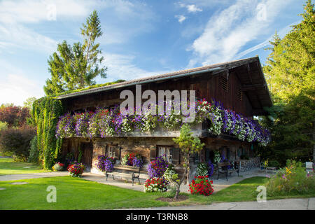 Holz- Alpine Chalet Haus fallen im Sommer Blumen. Stockfoto