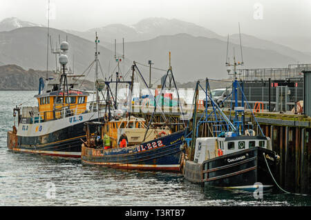 ROSS UND CROMARTY SCHOTTLAND ULLAPOOL DER HAFEN UND DREI ANGELN BOOTE IN Loch Broom Stockfoto