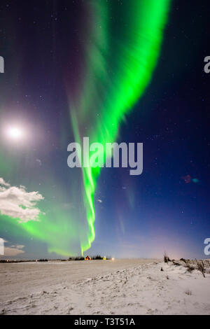 Nordlicht am Himmel über verschneite Landschaft Stockfoto