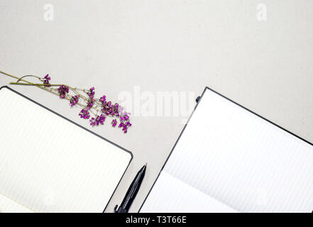 Leer Notebooks öffnen, lila Blüten, Pen. Business Konzept Stockfoto