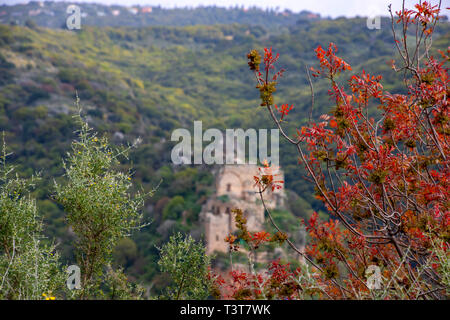 Blick auf die Kreuzfahrer Schloss Montfort in den Bergen von Galiläa. Israel Stockfoto