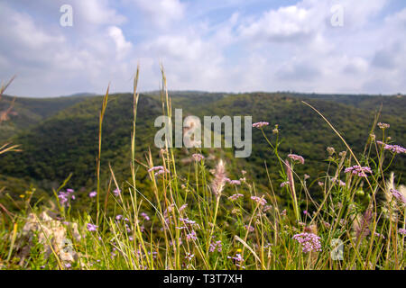 Blick auf die Kreuzfahrer Schloss Montfort in den Bergen von Galiläa. Israel Stockfoto