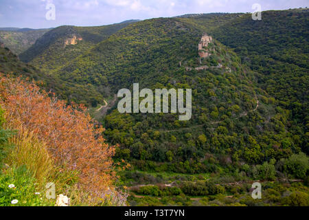 Blick auf die Kreuzfahrer Schloss Montfort in den Bergen von Galiläa. Israel Stockfoto