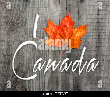 Kanada logo mit Maple Leaf. Ich liebe Kanada Stockfoto