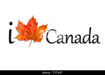 Kanada logo mit Maple Leaf. Ich liebe Kanada Stockfoto