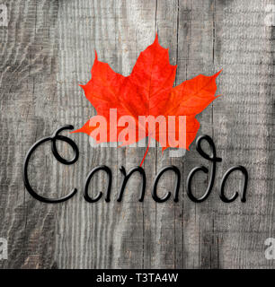 Kanada logo mit Maple Leaf. Ich liebe Kanada Stockfoto