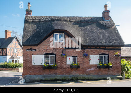 Kleine Ziegel Cottage mit Reetdach in der historischen Altstadt von Market Bosworth, Leicestershire, Großbritannien Stockfoto