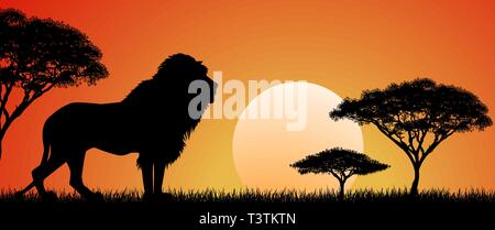 Silhouette eines Afrikanischen Löwen. Lion auf dem Hintergrund der Sonne und Bäume. Afrikanische wilde Landschaft. Sonnenuntergang. Die Tierwelt Afrikas. Stock Vektor