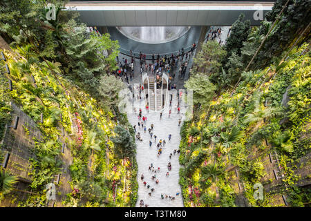 Blick von oben nach unten auf das vertikale Grün von Jewel am Flughafen Changi, Singapur Stockfoto