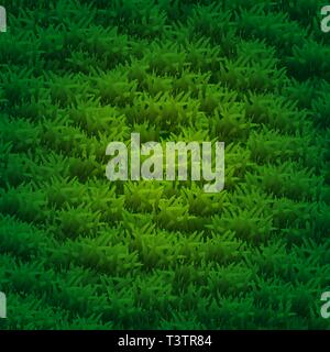Gras Hintergrund. Frischen Rasen Gras Textur. Perfekte grünes Gras Teppich. Stock Vektor