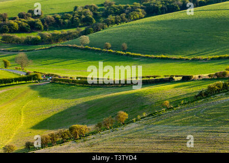 Frühling Nachmittag auf der South Downs in West Sussex, England. Stockfoto