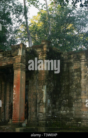 Innenhof, Ta Prohm, Angkor, Siem Reap, Kambodscha Stockfoto