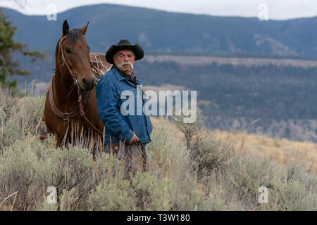 American Cowboy und Pferd Umfrage das Land Stockfoto