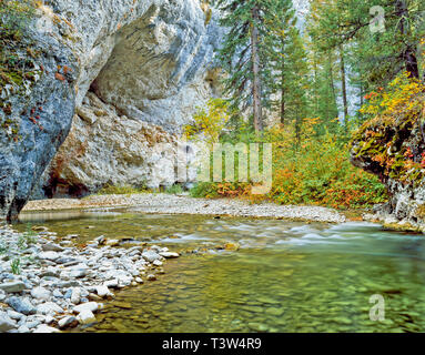 Frühherbst entlang der Mitte Gabel Judith River in einer Schlucht der kleinen Gürtel Berge in der Nähe von Utica, montana Stockfoto