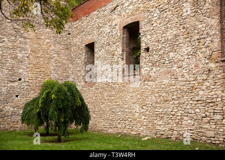 Überreste einer fransiscan Monaster auf der Margareteninsel. Diese Ruinen - Bleibt ein Turm und eine Wand aus dem späten 13. Stockfoto