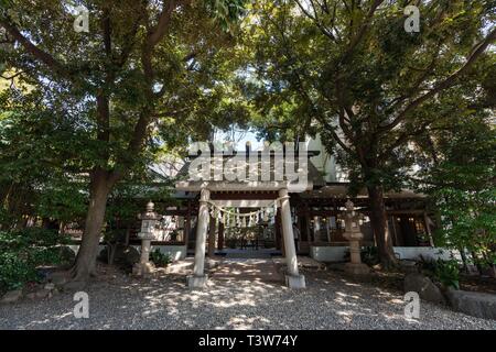 Hikawa Schrein, Kawagoe City, Präfektur Saitama, Japan Stockfoto
